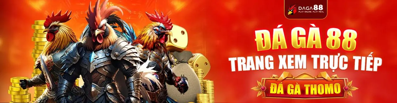 Đá Gà Trực Tiếp tại Vibet