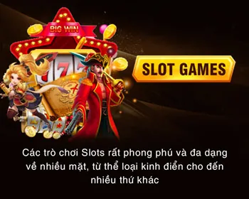 Cấp độ VIP Bạch Kim của vibet đăng ký